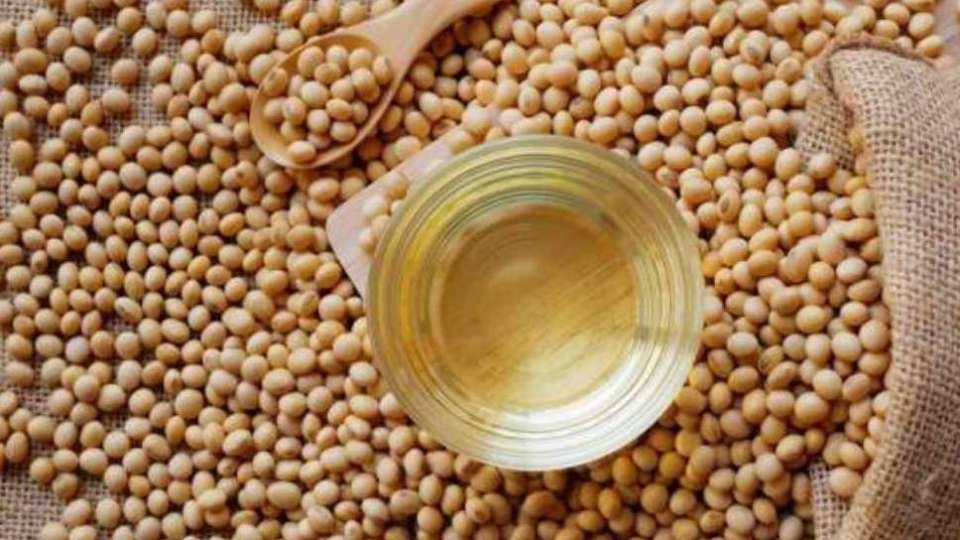 〈毒油食安風暴〉台鐵便當竟在名單內 台鐵澄清：未用相關批號油品請民眾安心食用