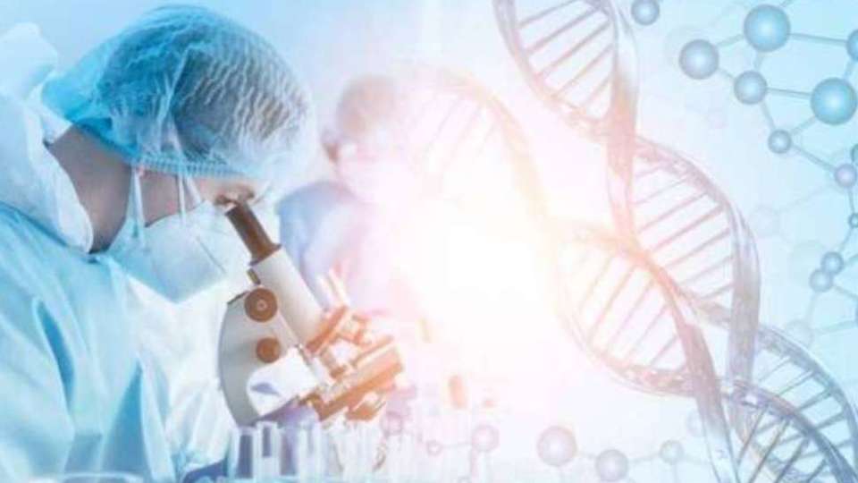 布局超高齡精準細胞治療 國科會推再生醫療產業化