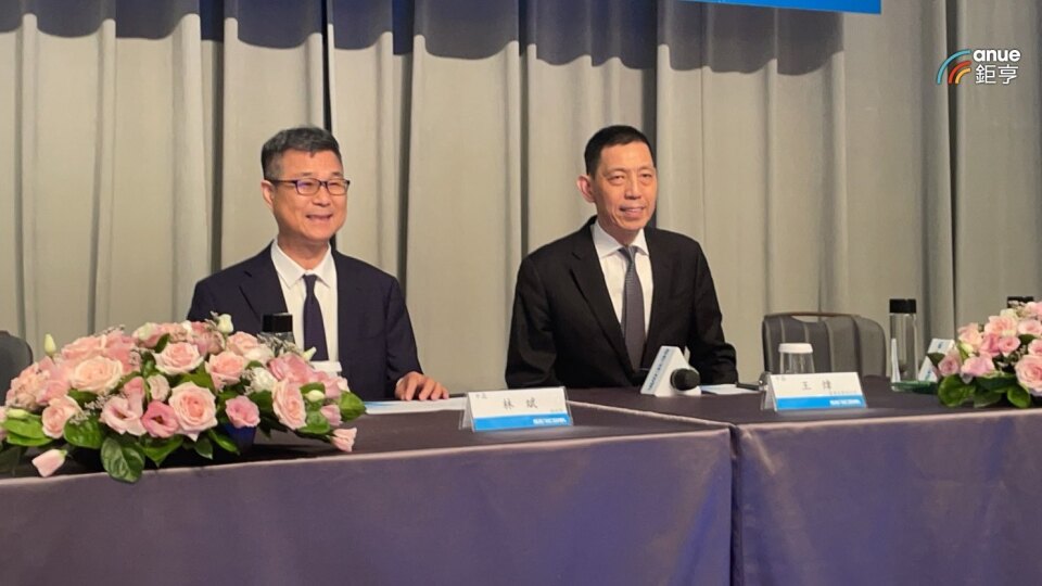 〈中磊法說〉董座直言Q2營收成長是反映記憶體漲價的「虛胖」 毛利率承壓